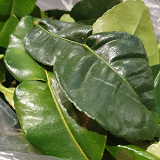 Lime leaf - 10gms