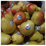 Corella Pears - 1kg