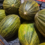 Piel Da Sapo Melons