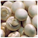 Cup Mushrooms - 500gms