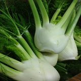 Fennel - each