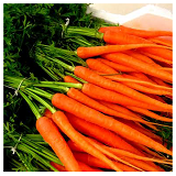 Local Dutch Carrots - 1  bunch