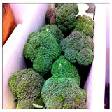 Broccoli - 1kg