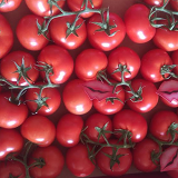 Large Truss Tomatoes kg