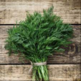 Dill bnch