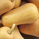 Large Butternut Pumpkins - whole