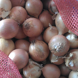 Pickling Onions - kg