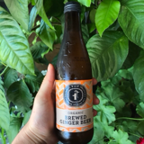 Organic Brewed Ginger Beer- Hepburn Srings