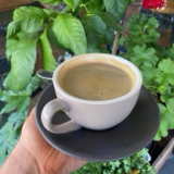 Long Black