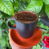 Mocha