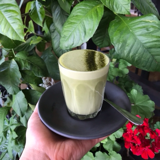 Matcha Latte