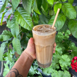 Iced Latte