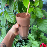 Iced Mocha