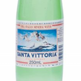 Sparkling Mineral Water (Santa Vittoria) - 250ml